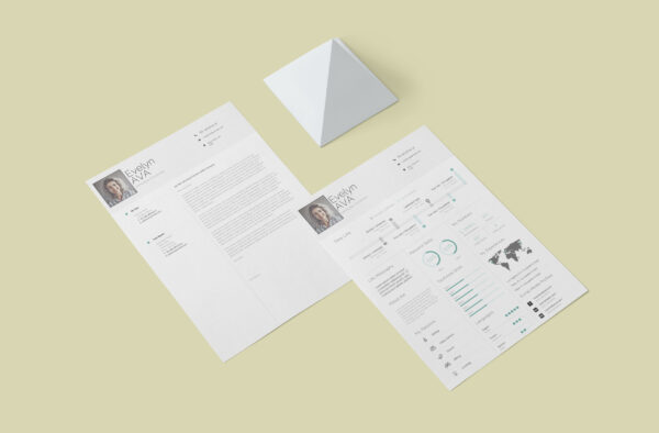 Elegant Infographic CV Design with a modern and stylish layout, featuring visually appealing charts, icons, and organized sections to showcase skills and experience professionally.