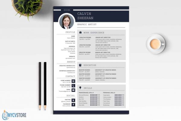 Professional CV MS Word Template