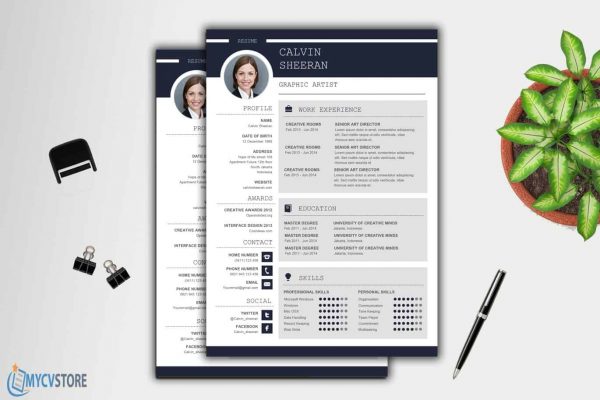 Professional CV MS Word Template