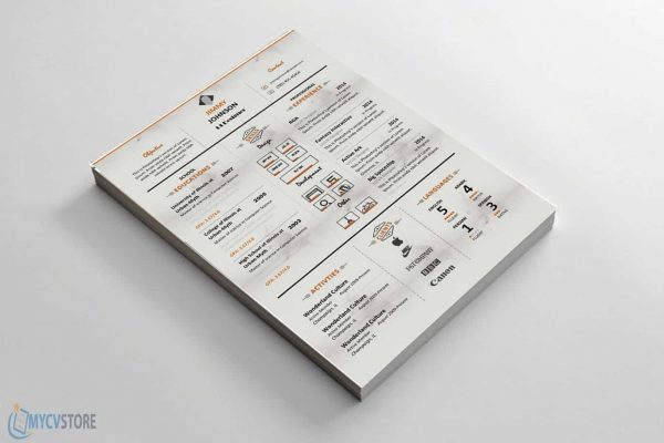 Clean Corporate Resume Templaate