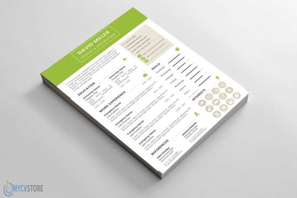 Modern Designer CV Template