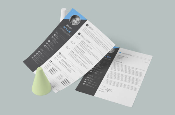 Professional elegant CV format with a structured and sophisticated design