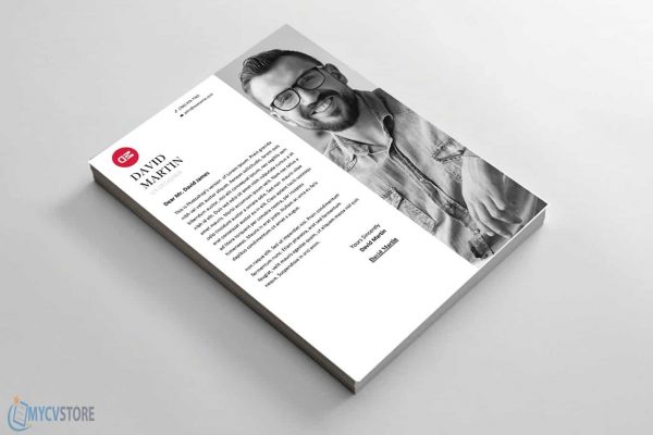 Clean Business Cover Letter Template