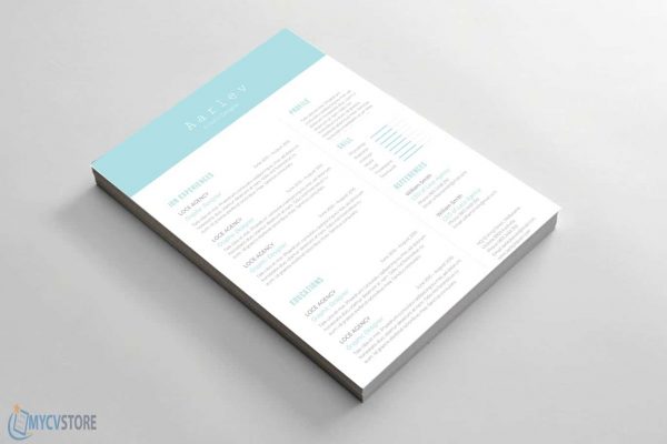 Minimalist Resume/CV Template