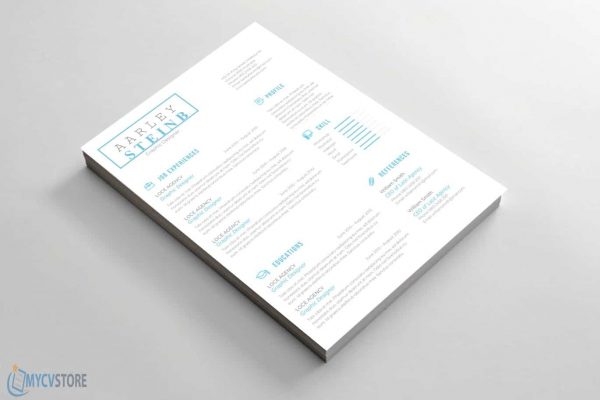 Modern Minimalist CV Template