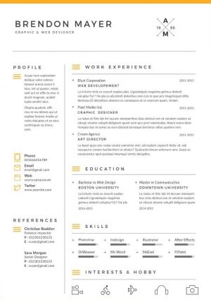 Professional Resume Template