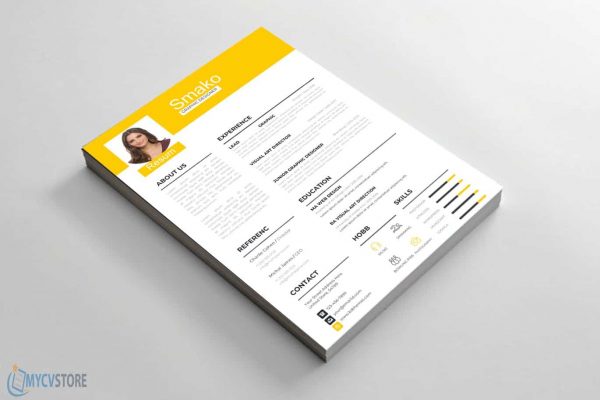 Retro Style Resume Template