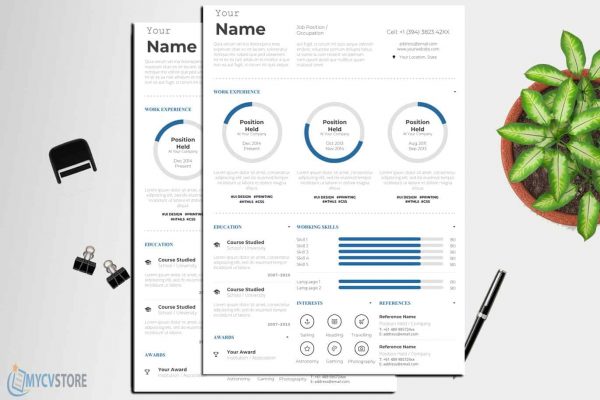 Infographic Style Resume Template