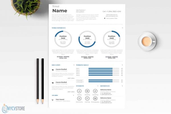 Infographic Style Resume Template