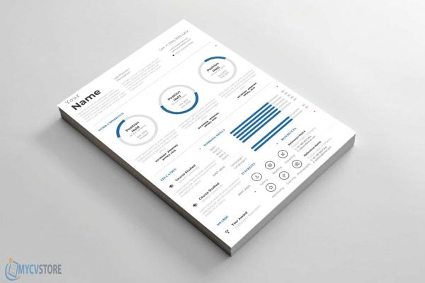 Infographic Style Resume Template