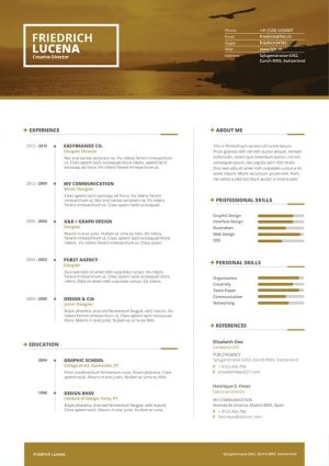 Swiss Resume Template Download for Word