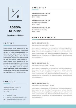 Simple Resume Design Template