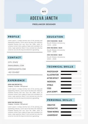 Freelancer Resume Template