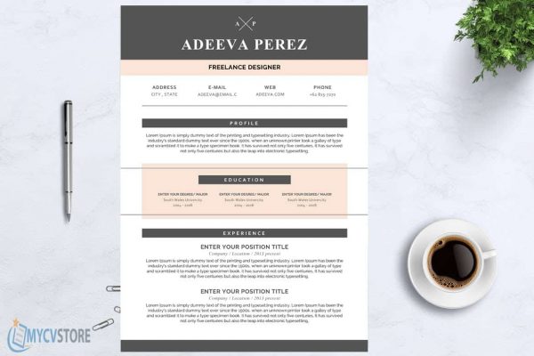 Simple Design Resume