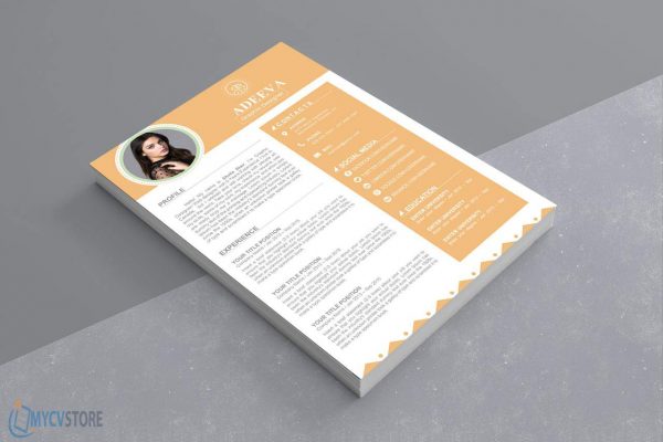 Blair Clean Resume Template