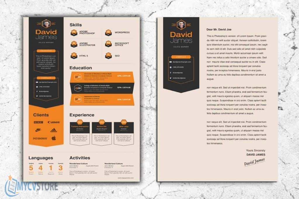 Marketing Consultant Resume template