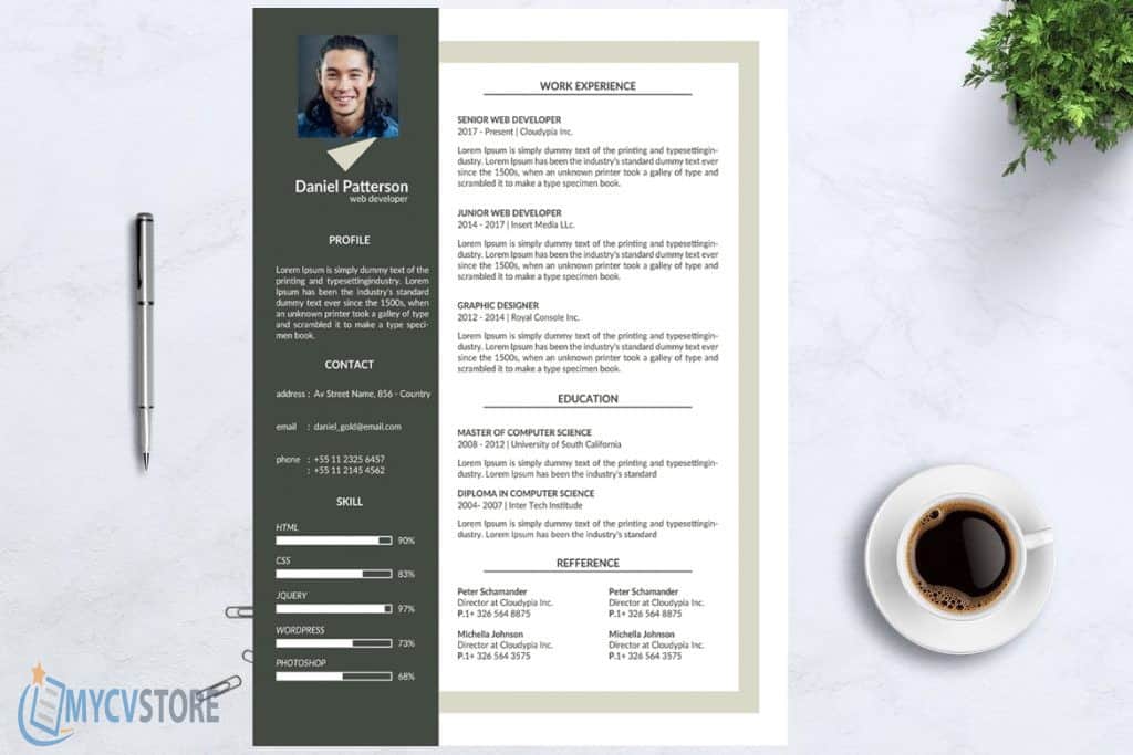 Professional Web Developer Resume