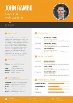 Modern Finance Manager CV