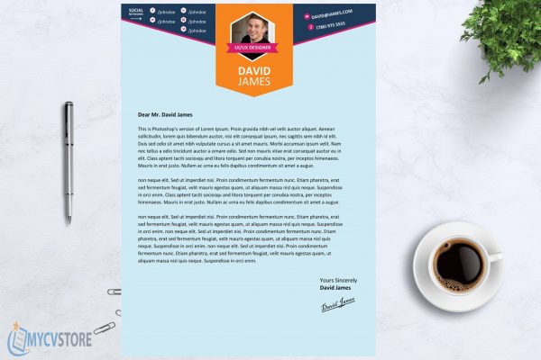 Colorful Stylish Cover Letter