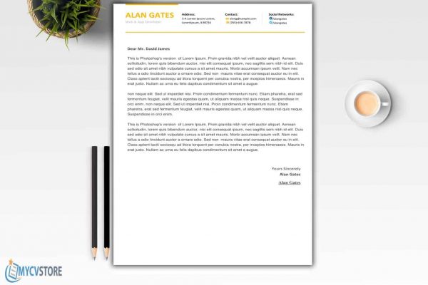 Clean Developer Cover Letter