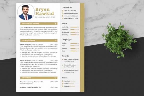 Design Manager CV