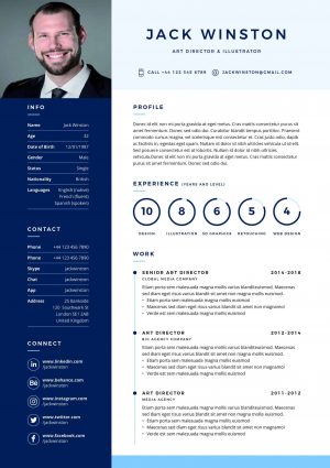 Printable Clean Resume