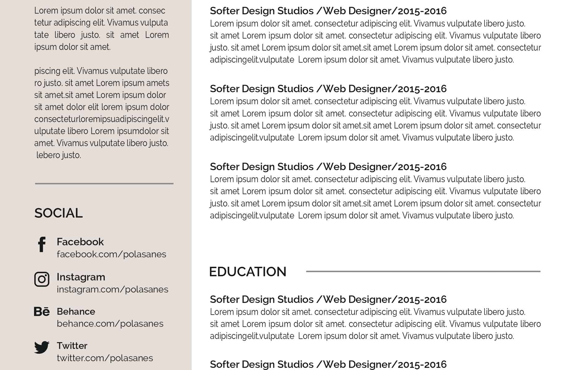 Functional Resume Template Editable Downloadable CV Word