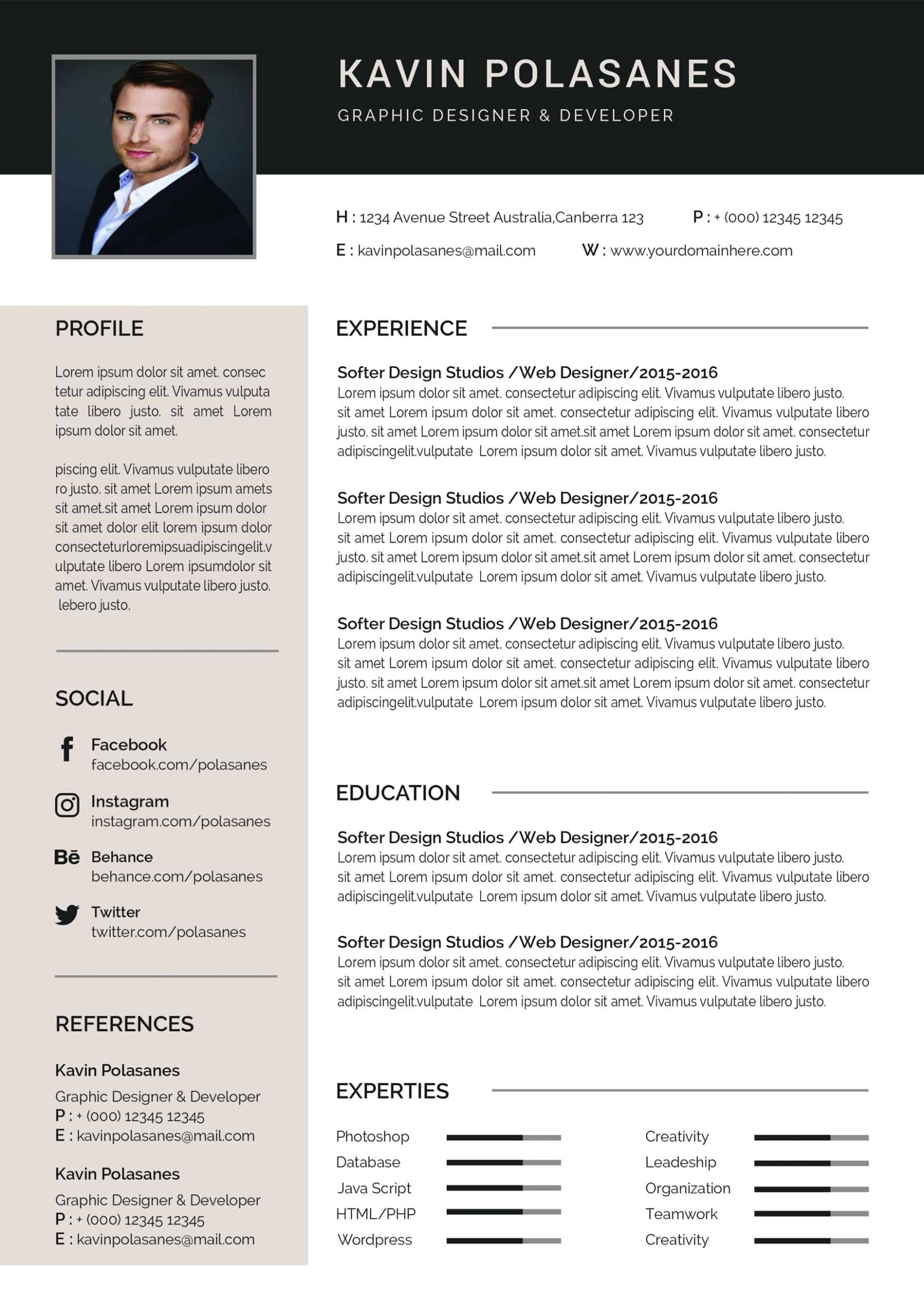 professional resume template download