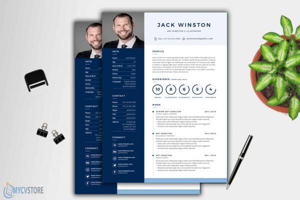 Printable Clean Resume