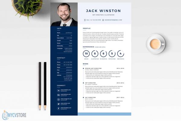 Printable Clean Resume