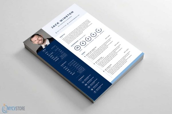 Printable Clean Resume