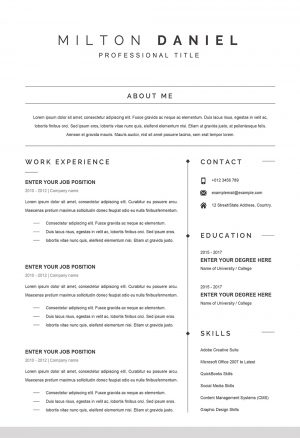 Professional Word CV Template