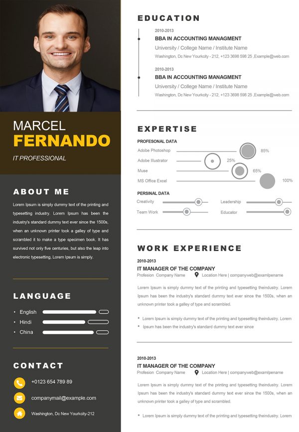 Professional Web Developer Resume