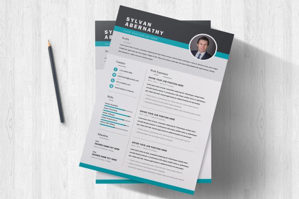 CV Design word format to Download