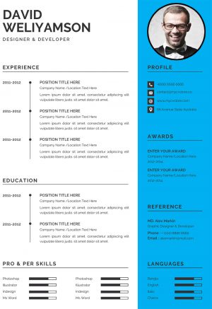 Clean Design CV Template 1