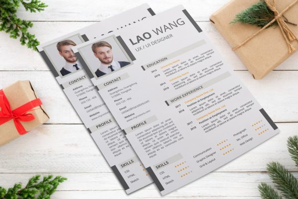 Creative Infographic Resume