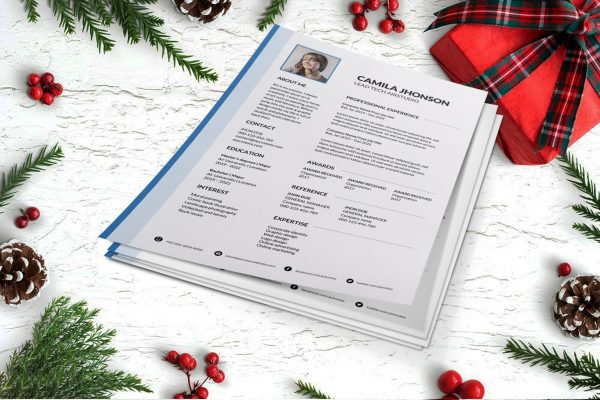 Lebenslauf Resume Template