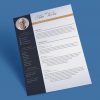 CV For Job Application