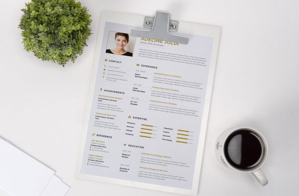 Commercial CV Example