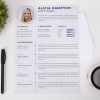 Expert CV Example