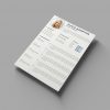 Expert CV Example