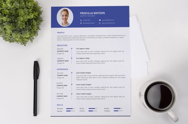 Flexible CV Template