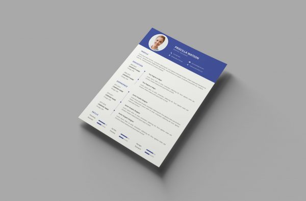 Flexible CV Template