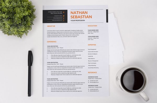 Impactful CV Template