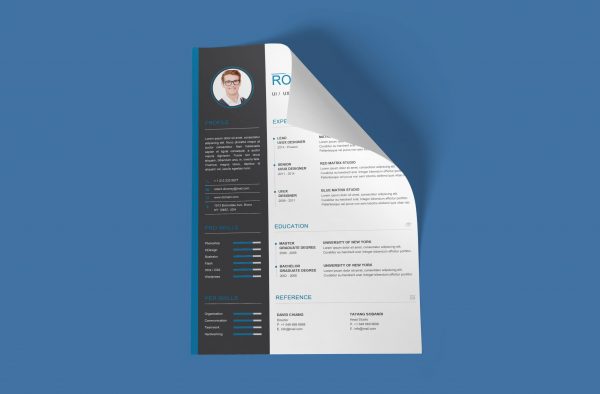 Junior Resume Template