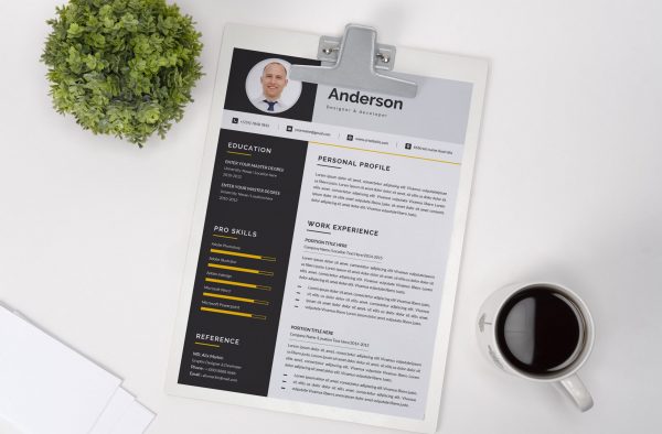 Modern Resume Design