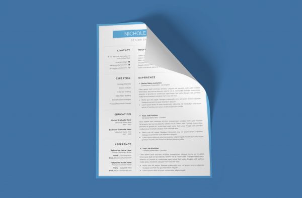 Online CV Example