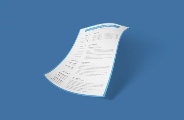 Online CV Example