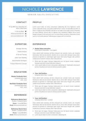 Online CV Example