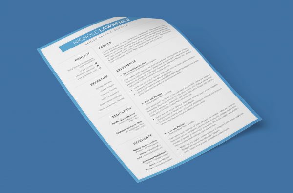 Online CV Example